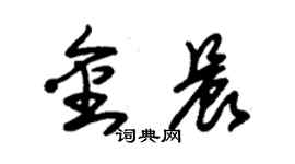 朱锡荣金晨草书个性签名怎么写