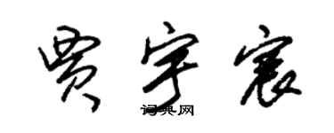 朱锡荣贾宇宸草书个性签名怎么写