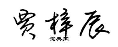 朱锡荣贾梓辰草书个性签名怎么写