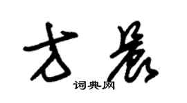 朱锡荣方晨草书个性签名怎么写