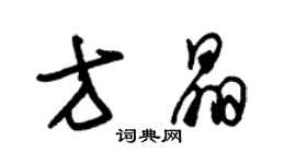 朱锡荣方晶草书个性签名怎么写
