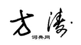 朱锡荣方涛草书个性签名怎么写