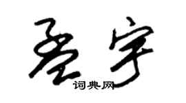 朱锡荣孟宇草书个性签名怎么写