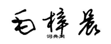 朱锡荣毛梓晨草书个性签名怎么写
