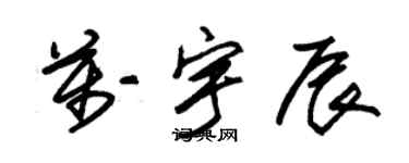 朱锡荣万宇辰草书个性签名怎么写