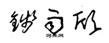 朱锡荣钱雨欣草书个性签名怎么写