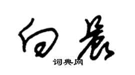 朱锡荣向晨草书个性签名怎么写