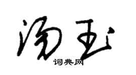朱锡荣汤玉草书个性签名怎么写