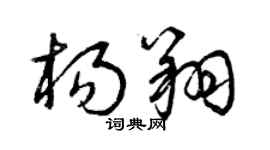 曾庆福杨翔草书个性签名怎么写