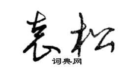曾庆福袁松草书个性签名怎么写