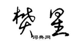 曾庆福樊星草书个性签名怎么写