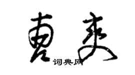 曾庆福曹爽草书个性签名怎么写