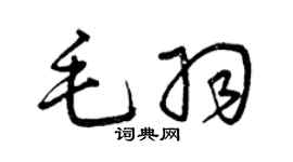 曾庆福毛羽草书个性签名怎么写