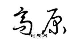 曾庆福高原草书个性签名怎么写