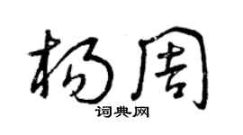 曾庆福杨周草书个性签名怎么写