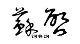 曾庆福苏启草书个性签名怎么写