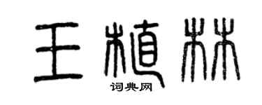 曾庆福王植林篆书个性签名怎么写