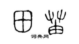 陈声远田苗篆书个性签名怎么写