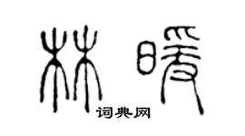 陈声远林暖篆书个性签名怎么写