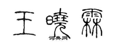 陈声远王晓霖篆书个性签名怎么写