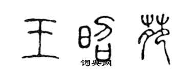 陈声远王昭苑篆书个性签名怎么写