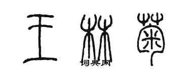 陈墨王林菊篆书个性签名怎么写