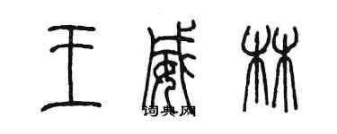 陈墨王威林篆书个性签名怎么写