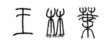 陈墨王林叶篆书个性签名怎么写