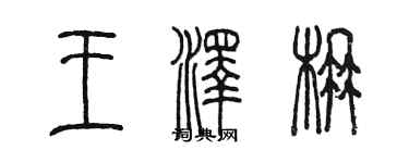 陈墨王泽楠篆书个性签名怎么写