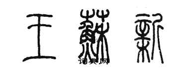 陈墨王苏新篆书个性签名怎么写