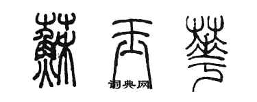 陈墨苏玉华篆书个性签名怎么写