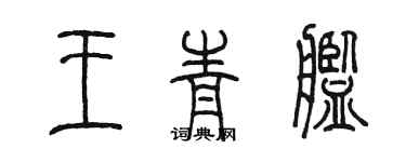 陈墨王青舰篆书个性签名怎么写