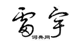曾庆福雷宇草书个性签名怎么写