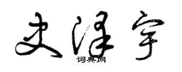 曾庆福史泽宇草书个性签名怎么写