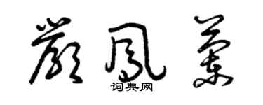 曾庆福严凤兰草书个性签名怎么写