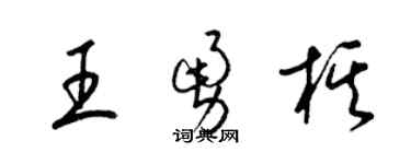 梁锦英王勇棋草书个性签名怎么写