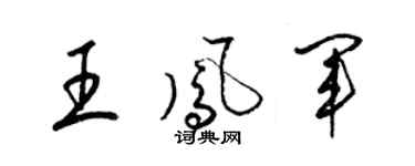 梁锦英王凤军草书个性签名怎么写