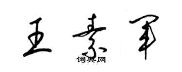 梁锦英王素军草书个性签名怎么写