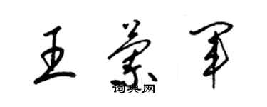 梁锦英王兰军草书个性签名怎么写
