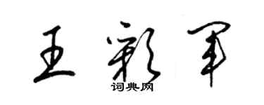 梁锦英王彩军草书个性签名怎么写