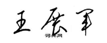 梁锦英王展军草书个性签名怎么写