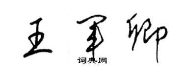 梁锦英王军卿草书个性签名怎么写