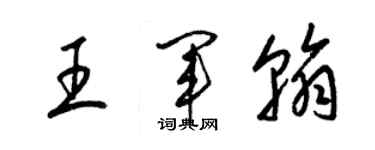 梁锦英王军翰草书个性签名怎么写