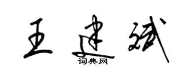 梁锦英王建斌草书个性签名怎么写