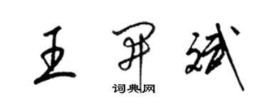 梁锦英王开斌草书个性签名怎么写