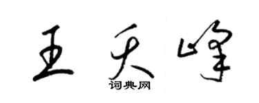 梁锦英王夭峰草书个性签名怎么写