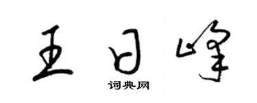 梁锦英王日峰草书个性签名怎么写