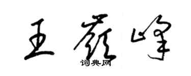 梁锦英王岭峰草书个性签名怎么写
