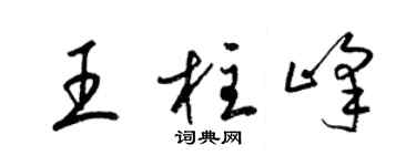 梁锦英王柱峰草书个性签名怎么写