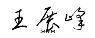 梁锦英王展峰草书个性签名怎么写